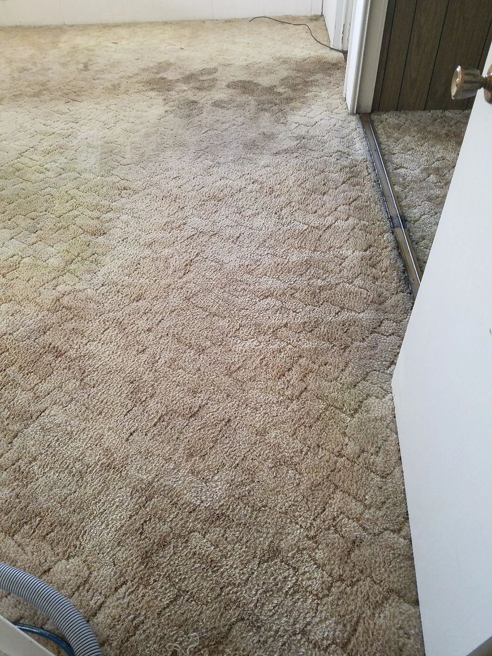 Carpet flooring residential